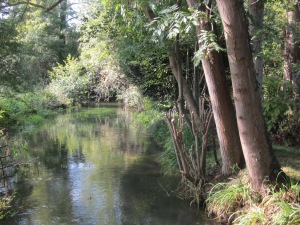 Claude Monet's Garden Lily Pond (4)